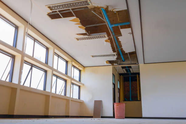 Best Local water damage restoration  in Solomon, KS