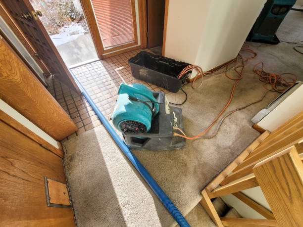 Best Water damage restoration near me  in Solomon, KS