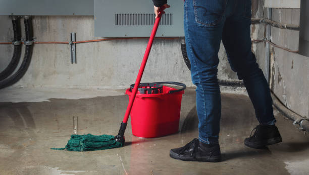 Best Professional water damage repair  in Solomon, KS