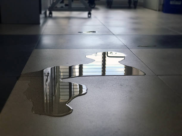 Best Professional water damage repair  in Solomon, KS