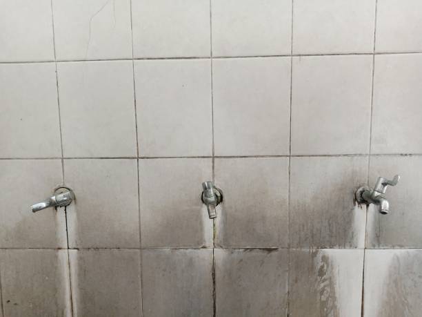 Best Mold removal after water damage  in Solomon, KS