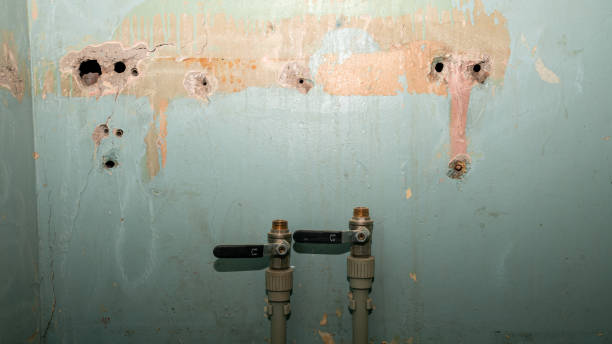 Best Water damage mitigation services  in Solomon, KS